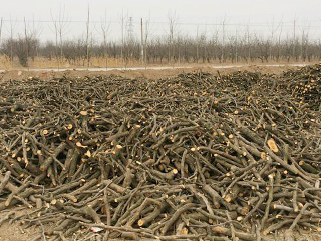 園林垃（lā）圾