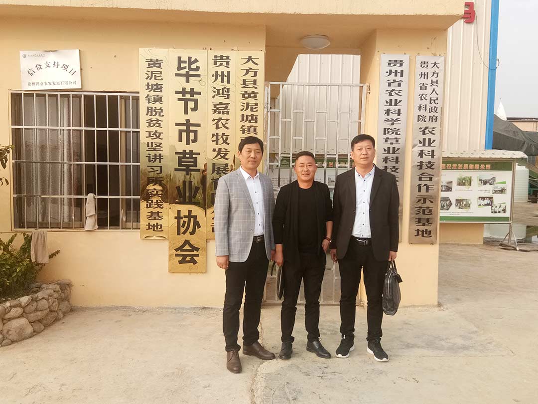 大型（xíng）秸稈粉碎機