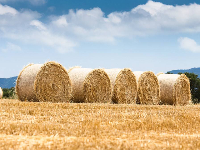 生物質垃（lā）圾